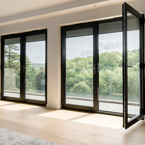 Eloyd Double Swing Casement Door Crittal Aluminum French Design