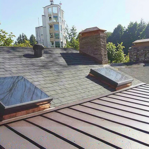 Customized Modern Automatic Aluminum Dormer Skylight Roof Window