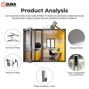 OUNA Hurricane Proof High Impact Black Aluminum Alloy Thin Profile Windows