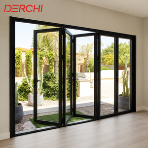 Modern Aluminum Double Glass Accordion Bifold Crittall Patio Door